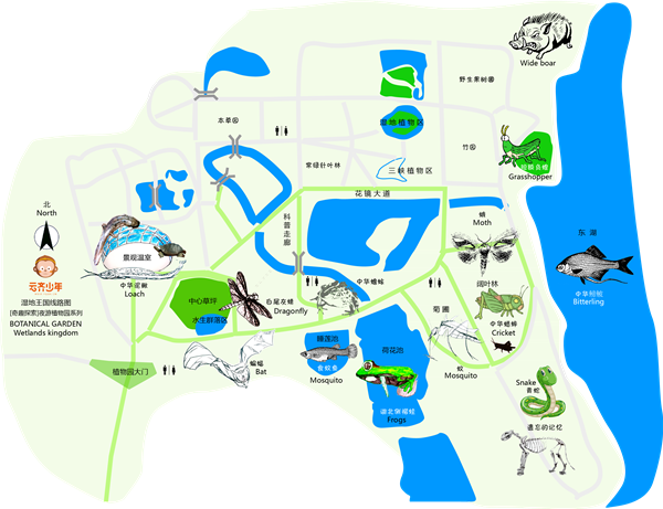 20180710 武汉植物园 线路图